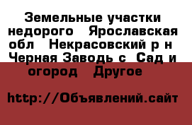 Земельные участки недорого - Ярославская обл., Некрасовский р-н, Черная Заводь с. Сад и огород » Другое   